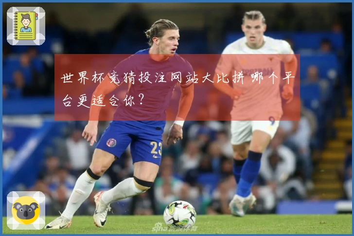 世界杯竞猜投注网站大比拼 哪个平台更适合你？