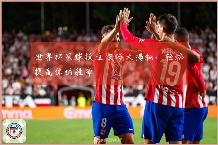 世界杯买球投注技巧大揭秘，轻松提高你的胜率