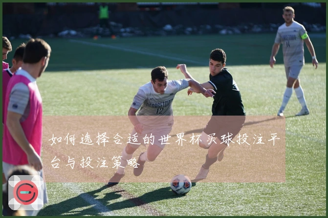 如何选择合适的世界杯买球投注平台与投注策略