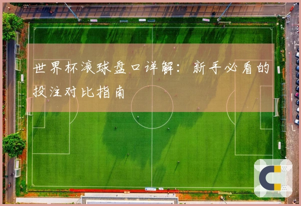 世界杯滚球盘口详解：新手必看的投注对比指南