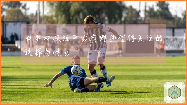 世界杯投注平台有哪些值得关注的选择与特点