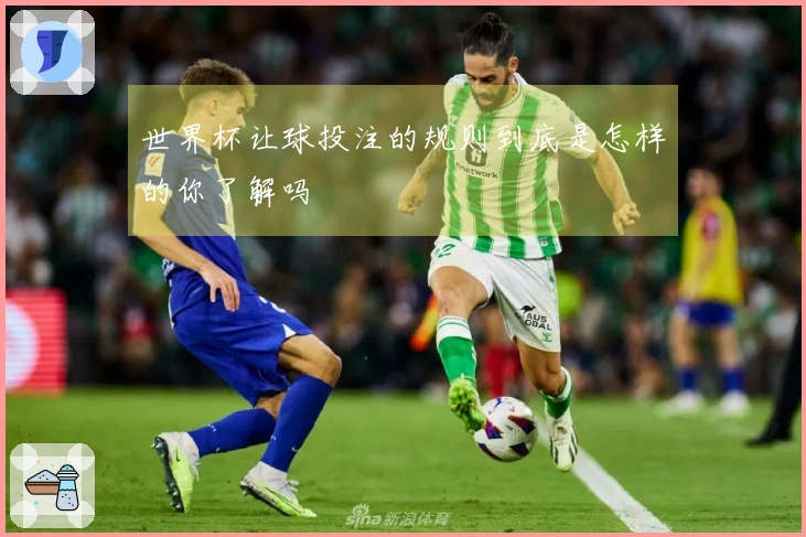 世界杯让球投注的规则到底是怎样的你了解吗