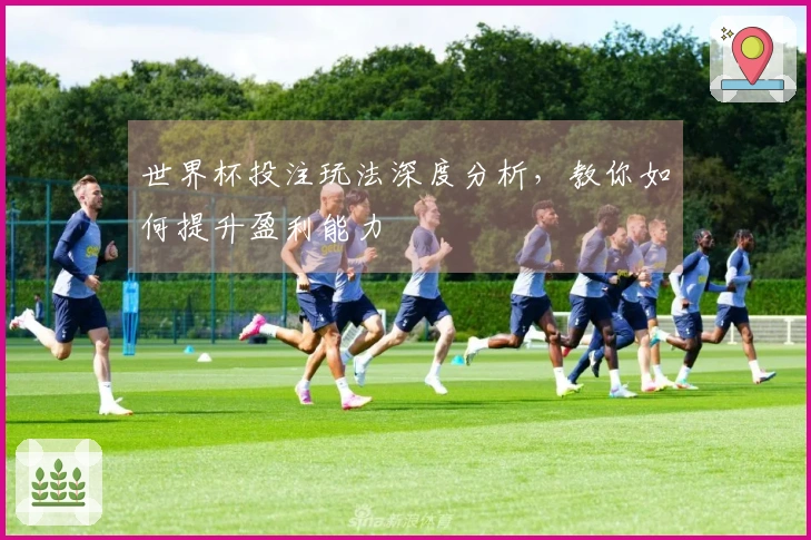世界杯投注玩法深度分析，教你如何提升盈利能力