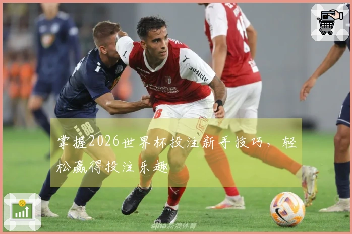 掌握2026世界杯投注新手技巧，轻松赢得投注乐趣