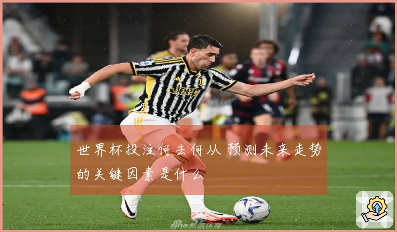 世界杯投注何去何从 预测未来走势的关键因素是什么