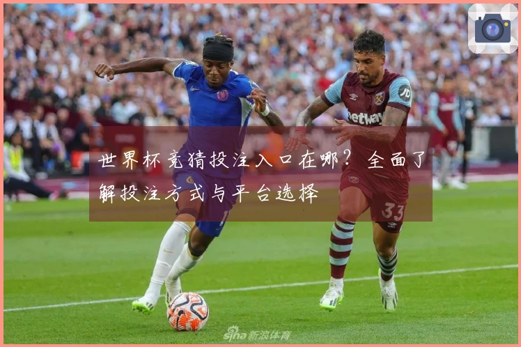 世界杯竞猜投注入口在哪？全面了解投注方式与平台选择