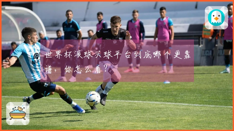 世界杯滚球买球平台到底哪个更靠谱，你怎么看？