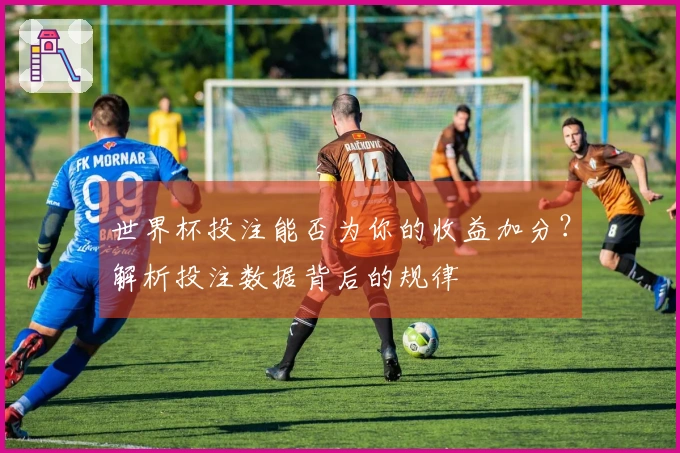 世界杯投注能否为你的收益加分？解析投注数据背后的规律