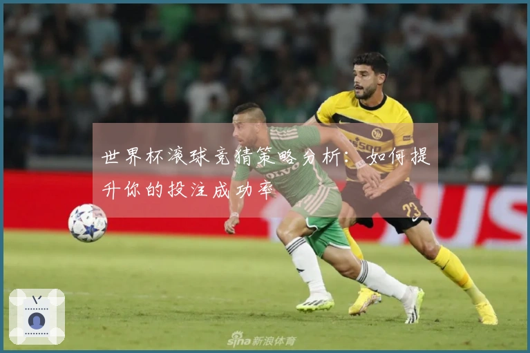 世界杯滚球竞猜策略分析：如何提升你的投注成功率