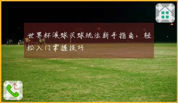 世界杯滚球买球玩法新手指南，轻松入门掌握技巧