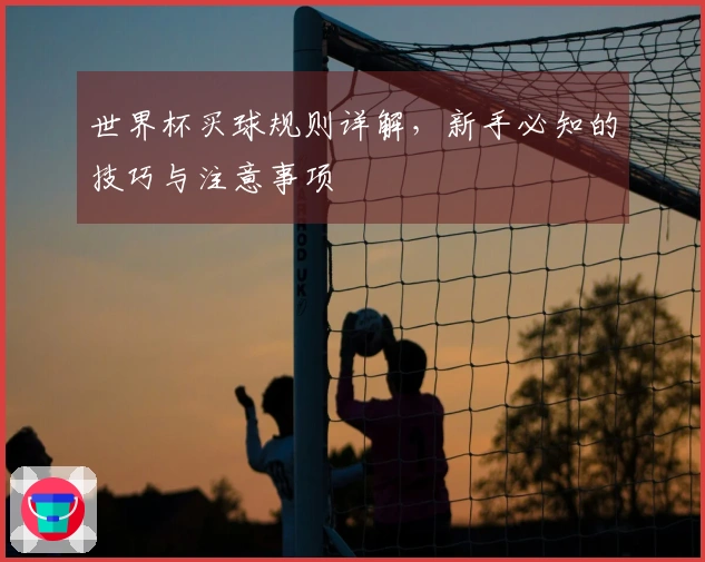 世界杯买球规则详解，新手必知的技巧与注意事项