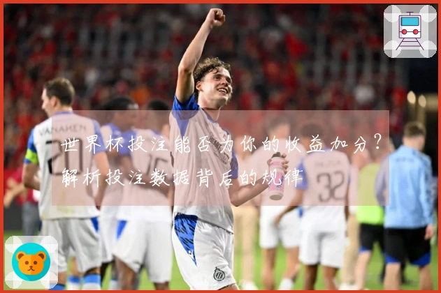 世界杯投注能否为你的收益加分？解析投注数据背后的规律