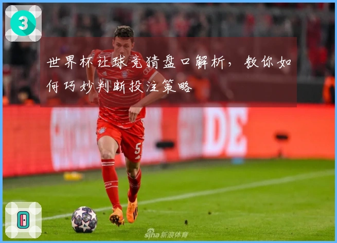 世界杯让球竞猜盘口解析，教你如何巧妙判断投注策略