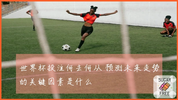 世界杯投注何去何从 预测未来走势的关键因素是什么