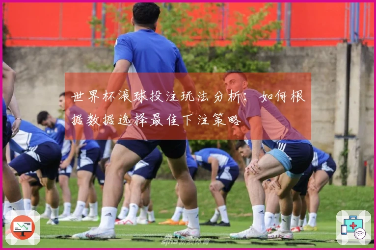 世界杯滚球投注玩法分析：如何根据数据选择最佳下注策略
